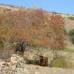 La Sabina * Фортанете