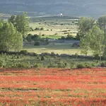 La Sabina * Фортанете
