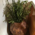 Летний дом La Sabina *