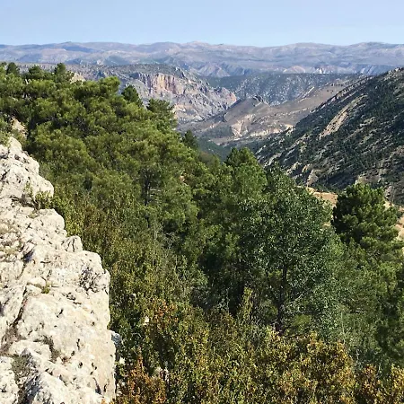 乡村民宿 La Sabina *