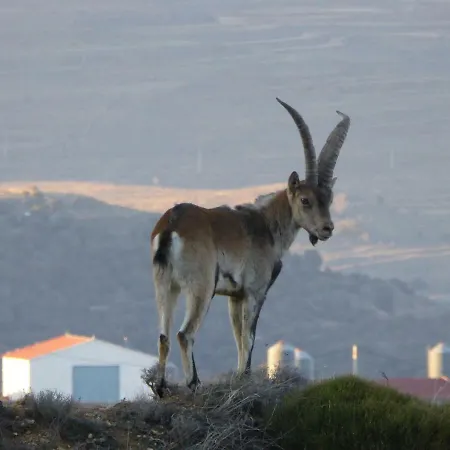 乡村民宿 La Sabina