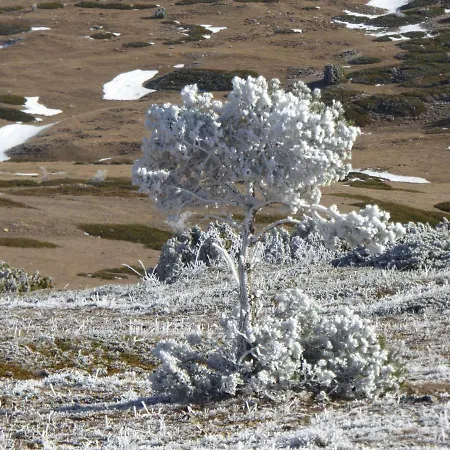 乡村民宿 La Sabina *