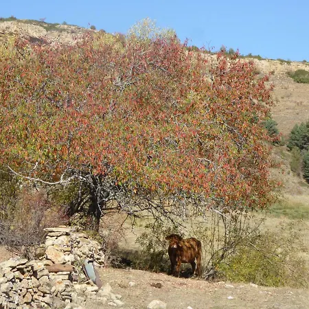 La Sabina * Fortanete