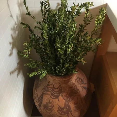 乡村民宿 La Sabina *