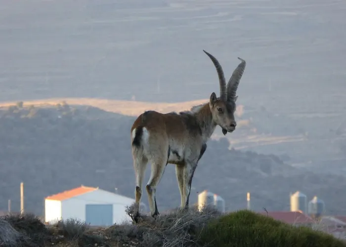 Lantställe La Sabina