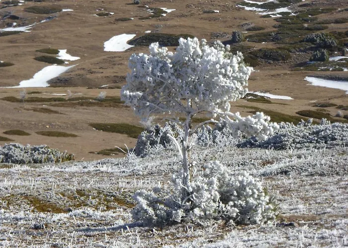 Lantställe La Sabina *
