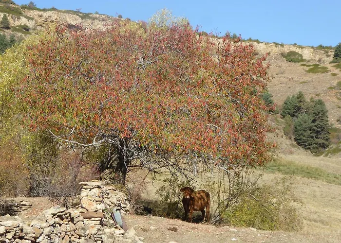 La Sabina * Fortanete