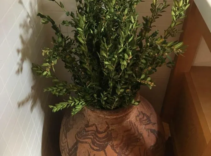 Lantställe La Sabina *